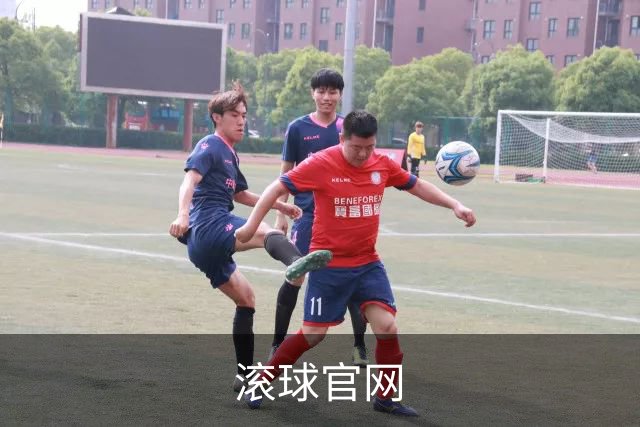 滚球官网公司简介图片
